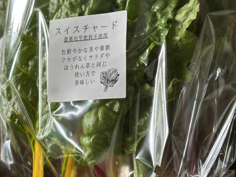 野菜ページ 農薬不使用キラピカ旬野菜BOX8品~朝穫れ農の島＊大三島＊よりお