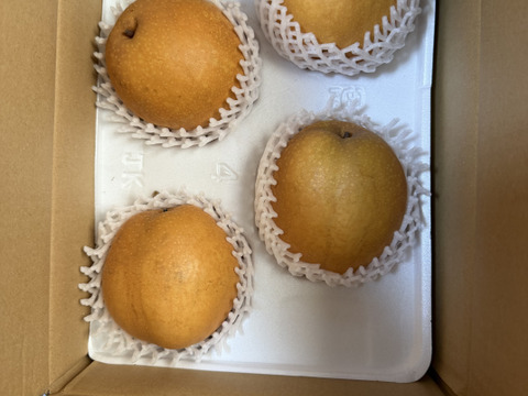 (2/2018時～23日まで割引中！)発送中「王秋梨」2.5キロ(4～6玉) 熨斗対応 たにがみ農園 鳥取県産 みずみずしい 梨 nashi ナシ なし【冬ギフト】