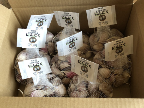 令和3年大分県宇佐産　『乾燥にんにく』バラ　サイズ混合　1Kg(125g×8ネット）