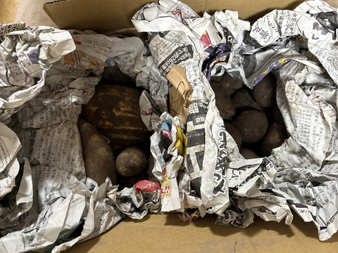 【自然栽培】里芋２種類食べ比べセット！栗のようにホクホク甘い里芋 八つ頭 ＆ 在来種の里芋 大野在来（大野芋）合計2.5kg