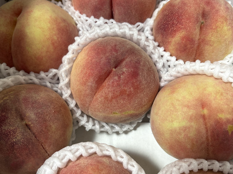 紅錦香(くにか) 3kg🍑朝採り🍑【自宅用】訳あり品🍑なめらかジューシー
