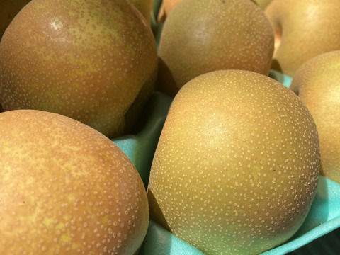 まつどの梨　デパート品より小さめ！完熟幸水　甘さしっかり食べ切りサイズ　ご家庭向け　5キロ18個から22個入り。
