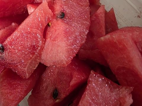 三浦スイカ【ぷちっと】サクサク甘い！!
本州限定