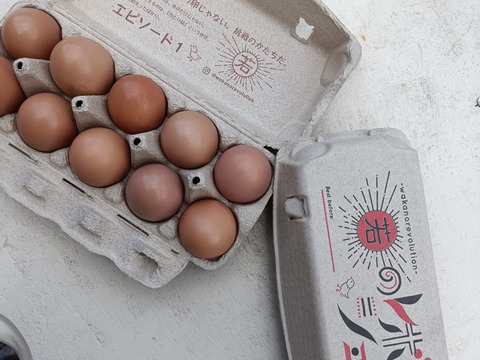 放牧卵！若のレボリューション！海外飼料不使用、自家製発酵飼料