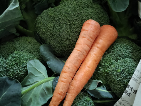 【予約販売】赤城の寒締めブロッコリー！６コ入り(約1.9kg）※群馬県特別農産物認証基準準拠