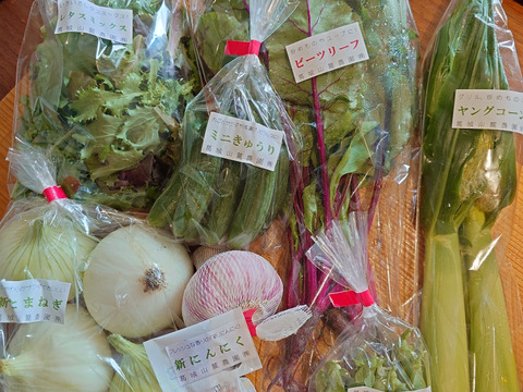 多品目栽培農家のユニーク旬野菜つめあわせ8種セット