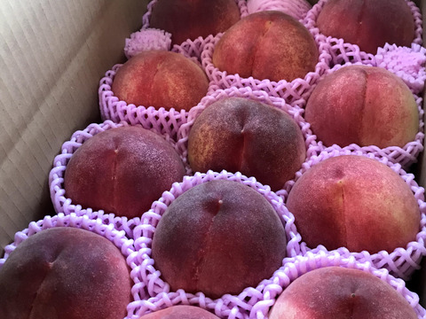 【有機栽培の美味しい桃約1kg（第二期）】自然に優しく希少でジューシーな天然桃(3個入)！