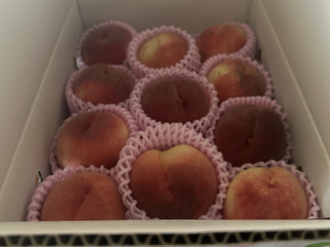 玉うさぎ3kg🍑数量限定🍑希少種&激レア桃🍑朝採り🍑【自宅用】訳あり品🍑香り良い糖度高め甘い品種🍑採りたて硬め～熟すと柔らかジューシーなめらか白桃🍑8月下旬収穫予定です