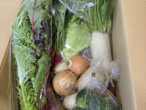 Lサイズ ＊旬野菜セット(約10~11品)【農薬：栽培期間中不使用】