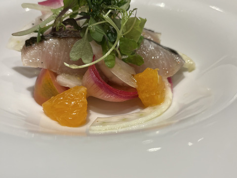 【フィノッキオ】5個セット(4-5kg)農薬・化学肥料不使用