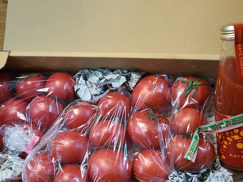 【旬終盤・お買い得3kg】アルテトマトなかま☆深い旨味の高糖度トマト～13%OFF～