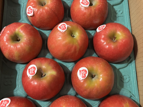 年内予約終わります🍎 ピンクレディ®︎3キロ箱  長野県 信州 安曇野 リンゴ 幻 幻のリンゴ 予約 希少 旬 6玉〜16玉サイズ 商品ID42100 ピンクレディー
