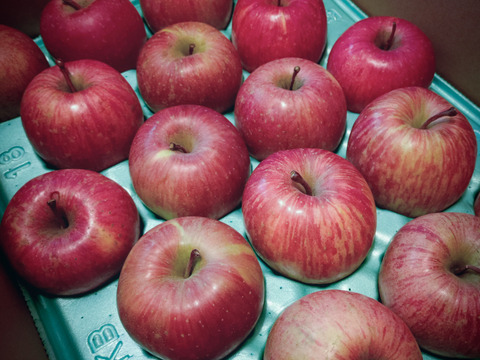 農薬半減栽培【キズなし良品】低農薬で皮ごとうまい🍎サンふじ🍎たっぷり10kg  葉とらずりんご 予約 旬 化学肥料不使用 特別栽培認証取得