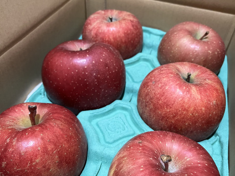 大玉から順に発送‼️とことん味にこだわりました💪😊🍎青森県産葉取らず完熟ふじ約6kg家庭用‼️