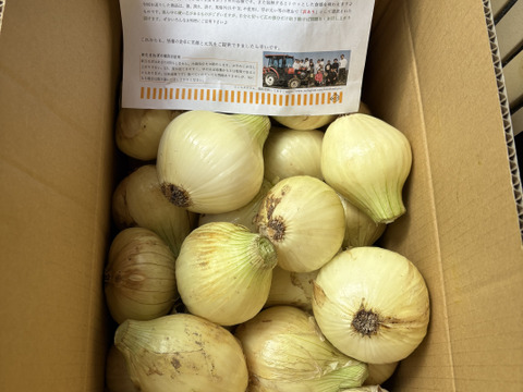 これで最後、早いもの勝ち！【訳あり】淡路島新玉ねぎ「早生種」 10kg