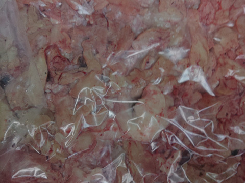 【絶品】濃厚ウマヅラハギの肝（冷凍）4パックセット【希少部位】【店舗にて人気TOP3】