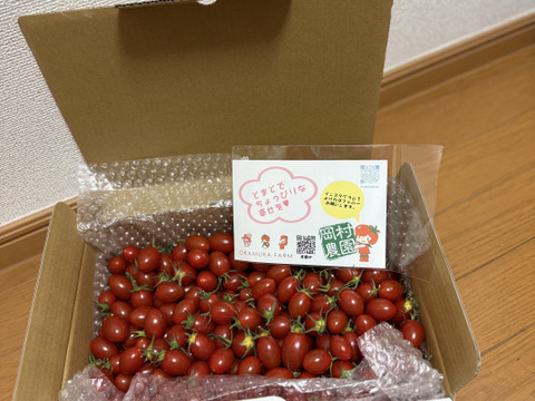 高糖度ミニトマト「あまりこ」2kg箱詰め