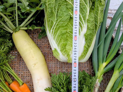 【群馬県産】冬のお野菜セット『7品目』