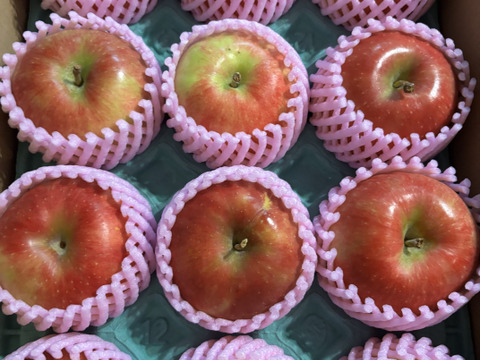 収穫中残り50ケース🧑‍🌾🍎【秒でシーズン終わります】夏あかり3キロ箱