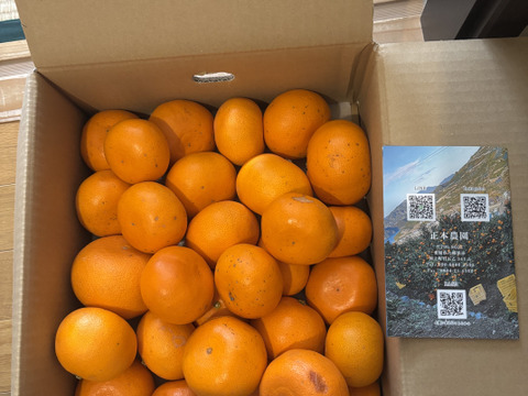 訳あり せとか5kg