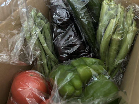 自然農園の健康やさい！　夏野菜珠玉の6品セット