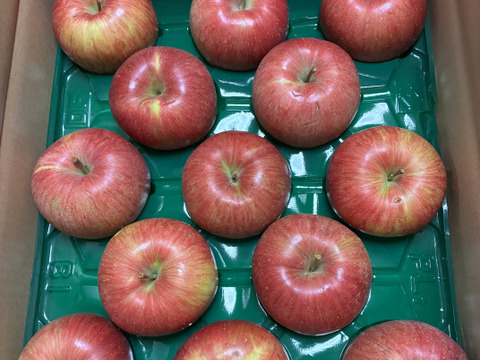 販売担当者イチオシ👆シナノスイート💕家庭用約4.5Kg🍎青森県産　人気限定品