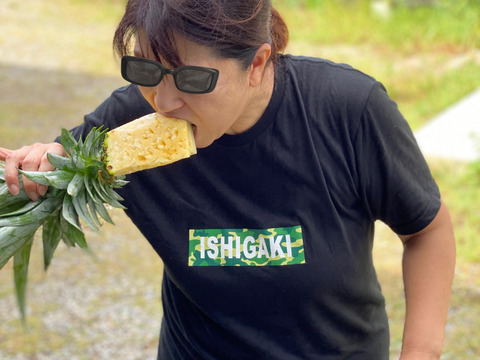 沖縄県石垣島産規格外スナックパイン6個