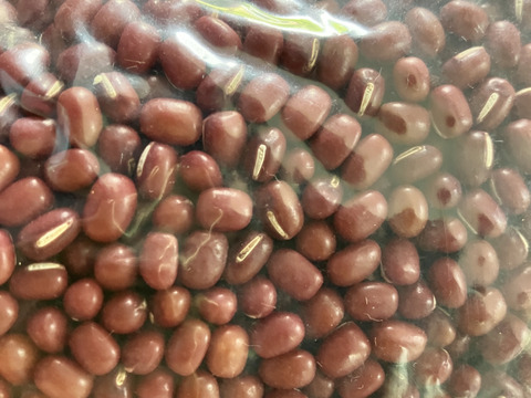 北海道の美味しいお豆！小豆　約９００g