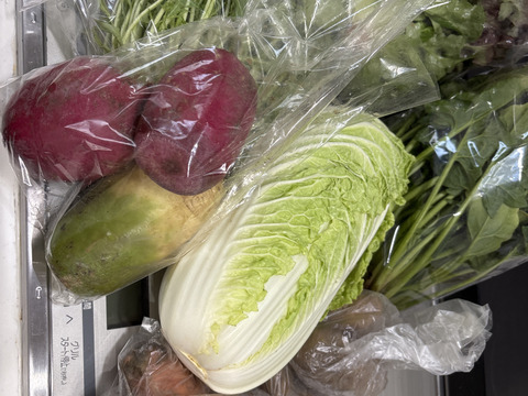 寒暖差が美味しさの秘訣！高原野菜セット【M: 2〜3人用】