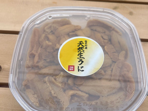 【今が旬】青森県佐井村産　生うに　100ｇ