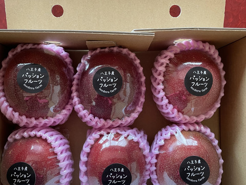 八王子パッションフルーツ⭐︎贈答用