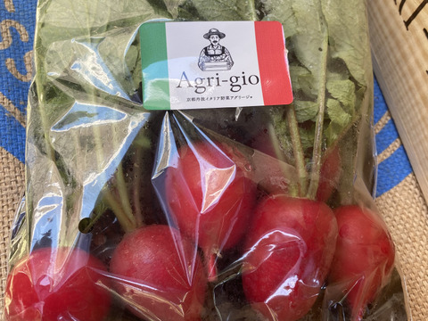 京都産ラディッシュ　よくばり1kgセット（大玉20個以上）