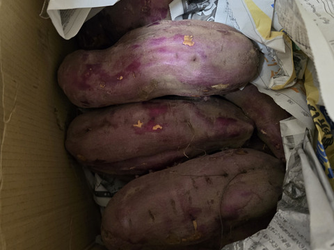 【訳あり品】ホックホクのさつまいも『紅あずま』（5kg）3L〜サイズ