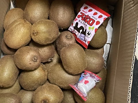 追熟なし　キウイフルーツ ❮3.8キロ❯ 約４５個