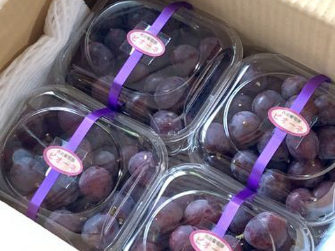【今が旬！】岡山県産　ピオーネ　粒パック　700ｇ×4p 2.8㎏以上