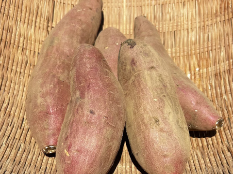 熊本県産オーガニックきみまろこ＆べにはるか(箱込み５㎏)【紅白のさつまいもで縁起物】定番の紅いさつまいもと話題の白いさつまいも。焼き芋、お菓子作りにも！