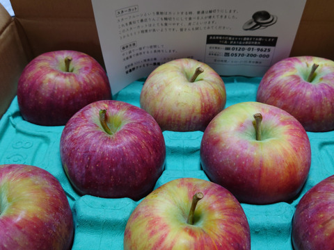 残り5ケース早い者勝ち🍎シナノリップ3キロ箱 6玉〜15玉サイズ 商品ID41076 長野県 信州 安曇野 リンゴ 幻 幻のリンゴ 予約 希少 旬