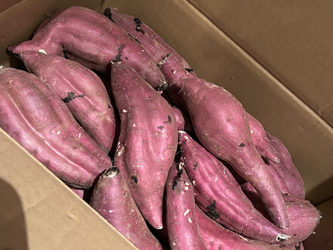 訳あり！熟成紅はるか　5kg  さつまいも