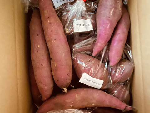 なんと５品種の食べ比べ！べにはるか、べにまさり、栗かぐや、シルクスイート、すずほっくり！