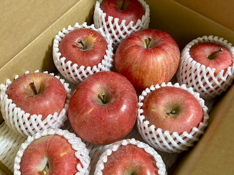農家直送　家庭用サンふじりんご３kg（約９玉）