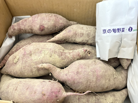 オレンジ色の機能性さつまいも　ハロウィンスイート2kg【漢方栽培】