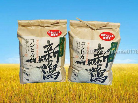 🎯味に自信あり🎁☀️令和6年産🌾5kg×2🍚10kg🌾お米ソムリエが作る🌾新潟県五泉市四ヶ村産🌾特栽米コシヒカリ🍚🙋なんと😲❇️5500円❇️激安特価‼️