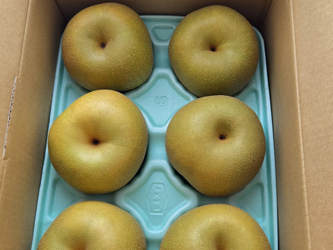 シャキっと！爽やかでみずみずしい幸水梨（2kg）規格外