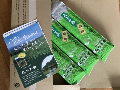 【✨2025年リピーター様率No1✨】たつみ園の八女茶白折300ｇ３本セット！