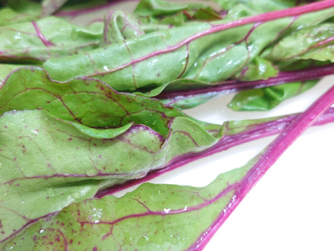 【サラダビーツ】1キロ♥️葉から根まで食べる野菜😋🌱♥️②種入ります🍥
