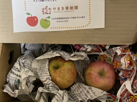 加工用に！山形高畠産葉取らずふじりんご🍎😋小玉や色薄いりんご🍎でも甘いです。ふじりんご5キロ箱バラ詰め😊