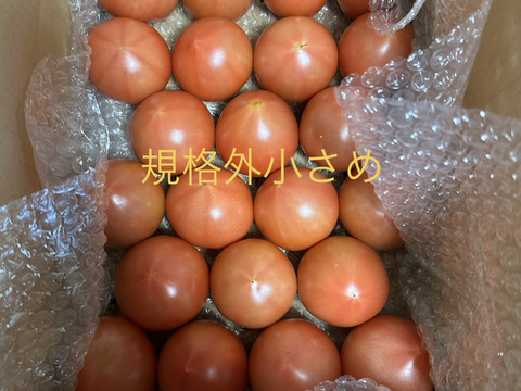 規格外小さめ★80サイズ箱詰め合わせ