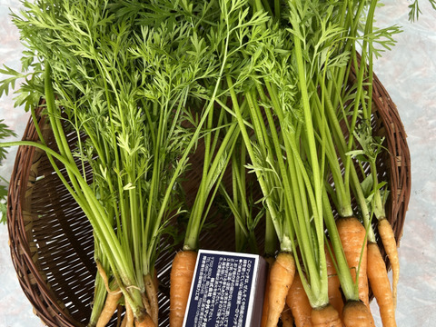 新玉ねぎ3kgに紫玉ねぎ3個とにんじんの間引き菜一把のセットで。