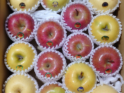 パキジロウ農園のスペシャル箱　りんご詰め合わせ約5kg（14個～18個）青森県産りんご　家庭用