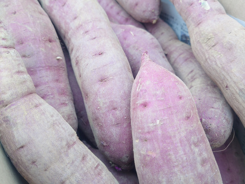 【熟成べにはるか】蜜たっぷり・しっとり甘い🍠焼き芋に最適！S〜Lサイズ混合／5kg／土付き